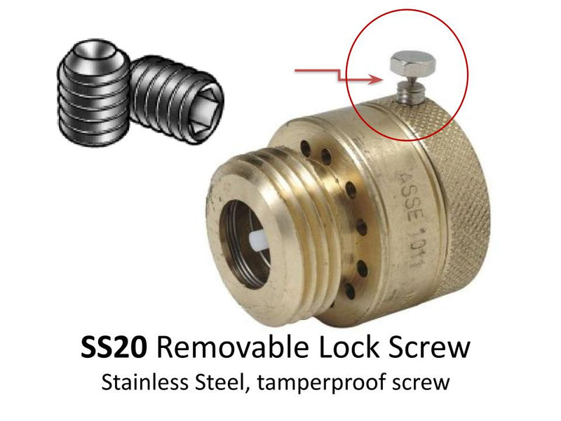 ss20 Removable Lock Screw, stainless steel, tamperproof screw how it works 1